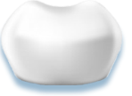 Shenzhen Denture Overview