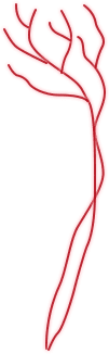 Hong Kong root canal specialty