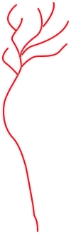 Recommended root canal in Hong Kong