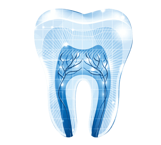 Hong Kong root canal cost